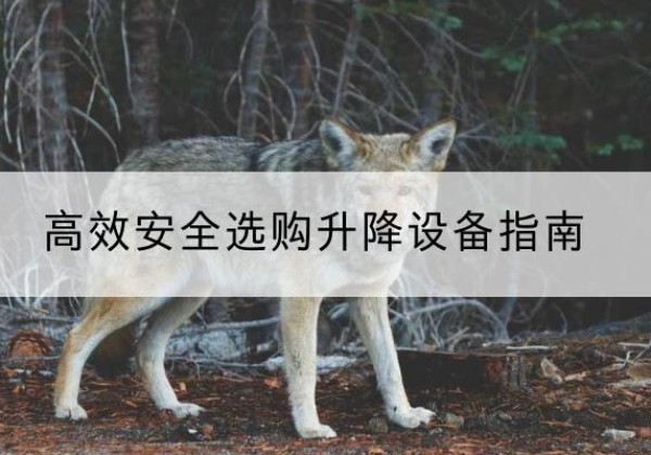 肇源升降货梯厂家推荐-*安全选购升降设备指南