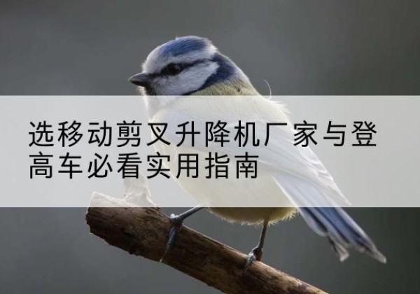 肇源电动升降机厂家-选移动剪叉升降机厂家与登高车必看实用指南