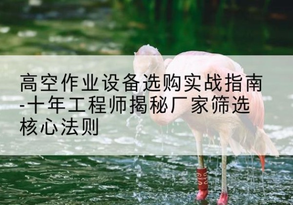 肇源剪叉式升降机厂家-高空作业设备选购实战指南-十年工程师揭秘厂家筛选核心法则